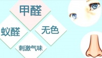新房通风完没除甲醛就要住？用这4种方法，高效百倍！