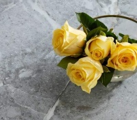 全友靠谱吗？透过茶几电视柜组合看端倪