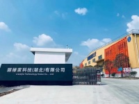 更轻、更快、更有效，丽维家新品推广数字化“蝶变”之路