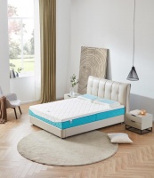 和也床垫：重视科技创新，共促大健康产业发展