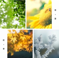 一场蓄势已久的盛宴 | 恒福瓷砖 F 系列质感砖新品发布暨媒体见面会