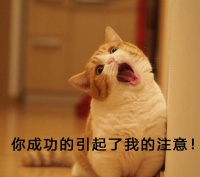 我在朋友家见到了博沃纳B500加湿器，感觉与传说的不同