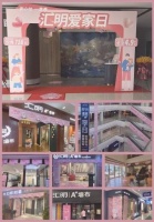 汇明728爱家日稳定发力，线下人气持续火爆