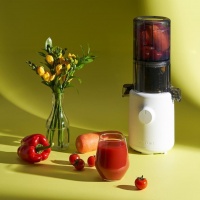 轻盈时尚 惠人H310A带来健康果蔬生活