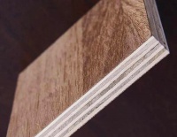 这份除甲醛秘籍，你再不收藏，真是损失大了！