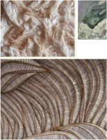 惠达质绘砖艺术模具系列，颠覆传统的立体美！