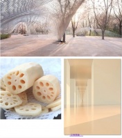 日落暖藕 | 温柔治愈，唤醒优雅慢生活