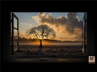 超清画质 智见未来，三星电视带来最淋漓尽致的感官突