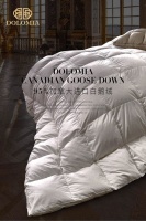 奢华入骨，DOLOMIA顶及进口加拿大鹅绒被上演寝上荣耀