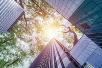 东鹏控股以“1+N”多品类产业格局，构建一站式整体家居解决方案