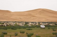 DOJUS度假式|来于自然，归于自然