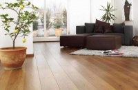 新房甲醛除不干净，一反弹就受罪，狠狠心用这几招吧