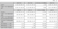 营收73.63亿元 净利润下滑近三成!大亚圣象公告2022年业绩