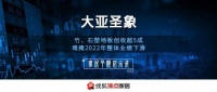 大亚圣象:竹、石塑地板创收超5成 难掩2022年整体业绩下滑丨家居个股启示录