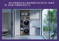 是第二名3倍！海尔洗衣机份额46%居第一