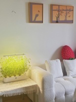 室内植物养不活？佰植乐为你揭秘