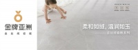 2023年主流瓷砖趋势！金牌亚洲金丝绒为什么广受追捧？
