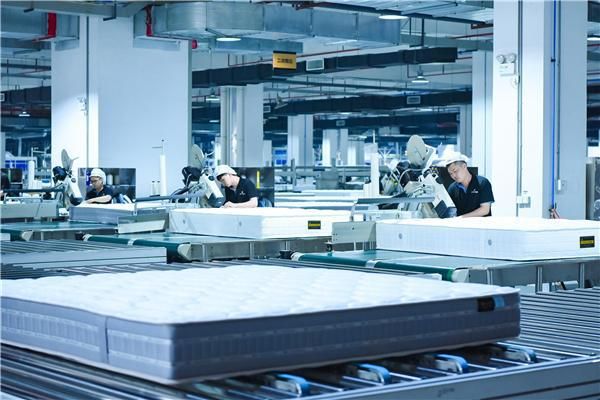 新型工业化引领高质量发展研讨会在慕思召开 打造数字经济新质生产力