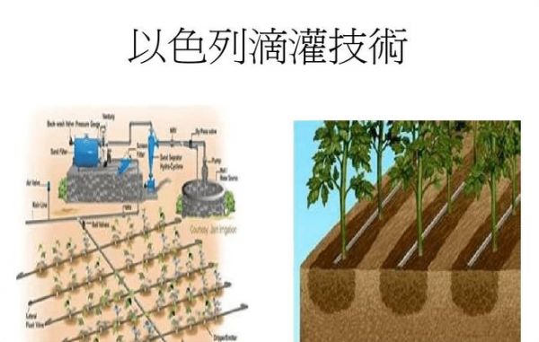 从欹器到联塑管道：古法今用搭建智慧农业灌溉桥梁