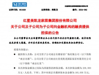 美凯龙为两家子公司合计20亿元融资提供担保