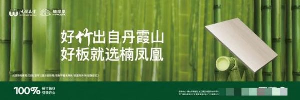 国家政策加持！楠凤凰精竹板掀起以竹代木革命，万亿家居市场格局生变
