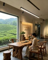 无惧配色难题与设备违和 格峰隐形美学助力高端吊顶大胆落地