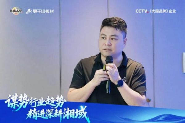 谋势行业趋势 精进深耕湘域 | 2026莫干山板材湖南区域核心经销商半年度经营分析会圆满举行!